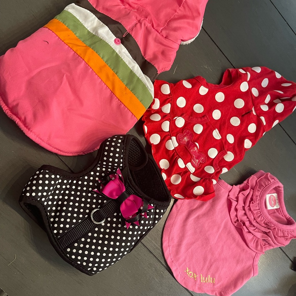 XS girl dog outfits